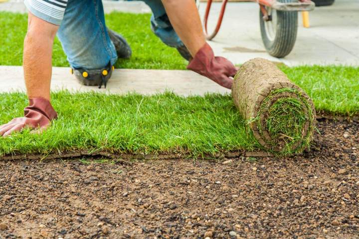 Lawn Installation Montréal