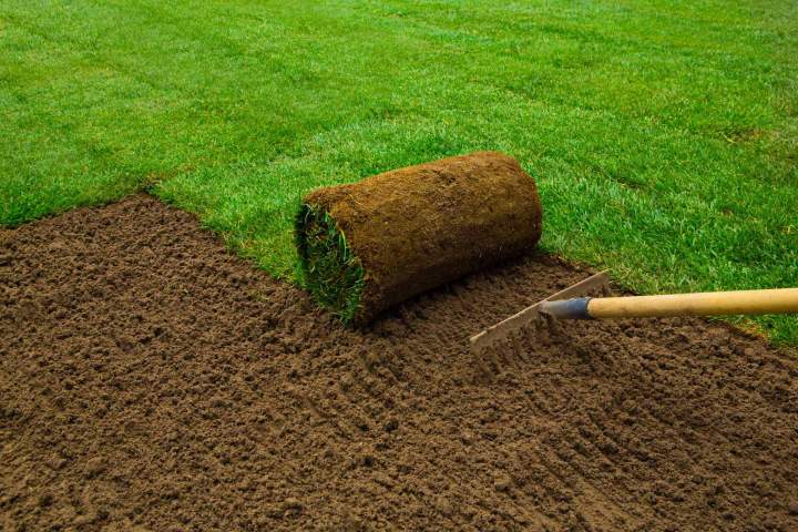 Sod Installation Montréal